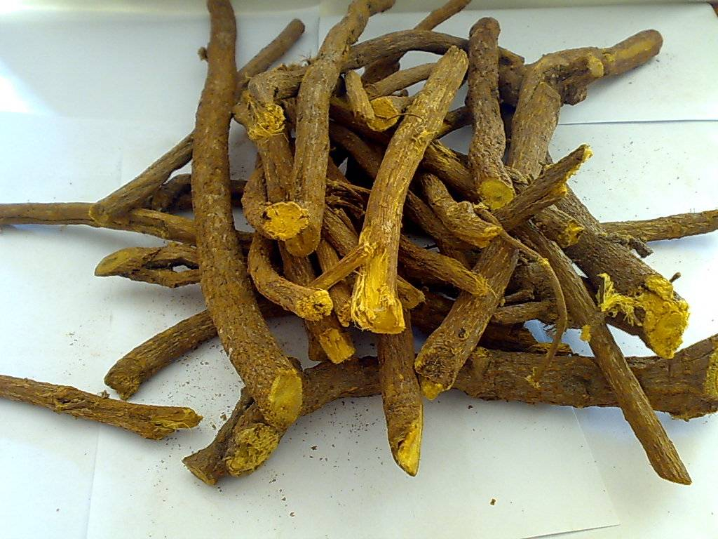 Ученые нашли продукт в народной медицине, который помогает от ковида
