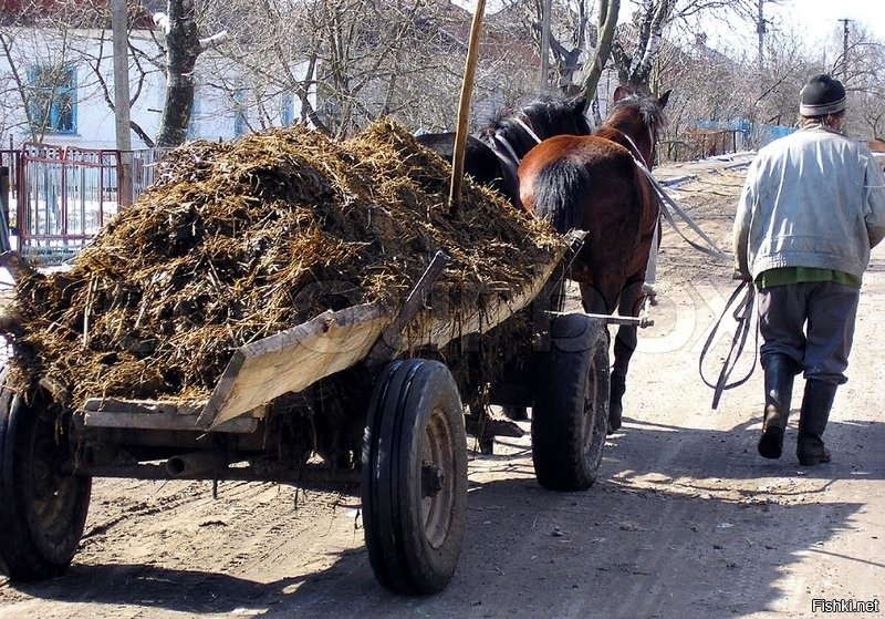 Совфед займется навозом
