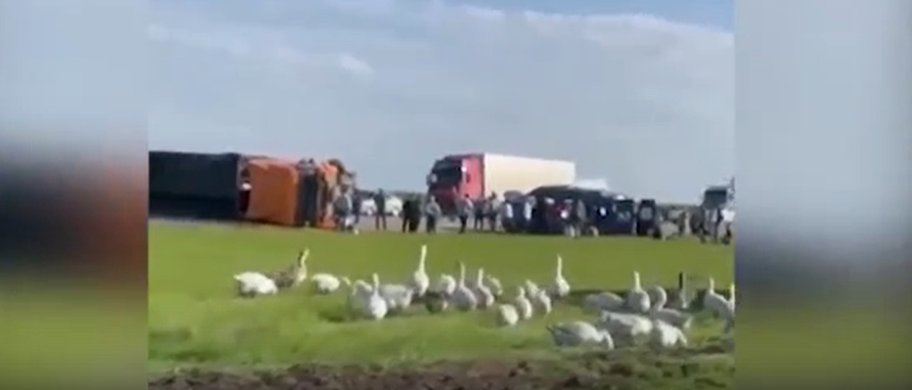 В Ставропольском крае шесть детей погибли в ДТП