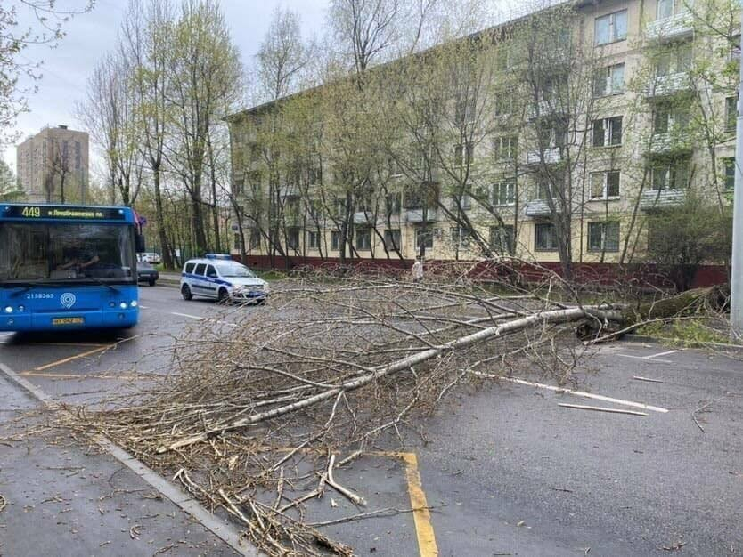 В Москве из-за урагана пострадали два человека