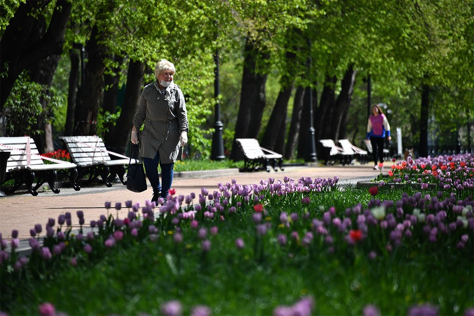 Россиянам стоит готовиться к аномальной жаре