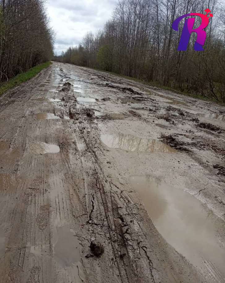 В Ярославской области экстренные службы застряли в грязи и не успели к умирающему дедушке