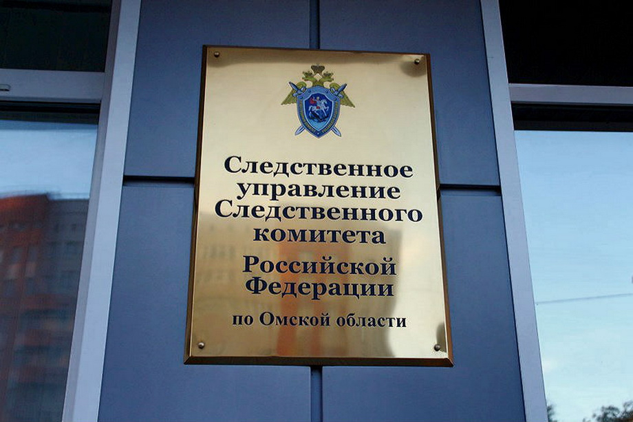 В Омской области жену депутата обвинили в съемках детского порно