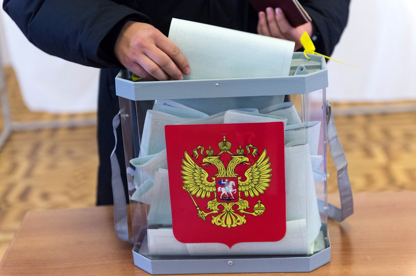 В семи субъектах РФ в 2021 году пройдет онлайн-голосование