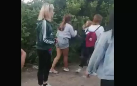Школьница изнасиловала 11-летнюю девочку бутылкой и сняла это на видео 