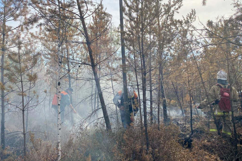 В Тюменской области возбудили 17 уголовных дел из-за лесных пожаров