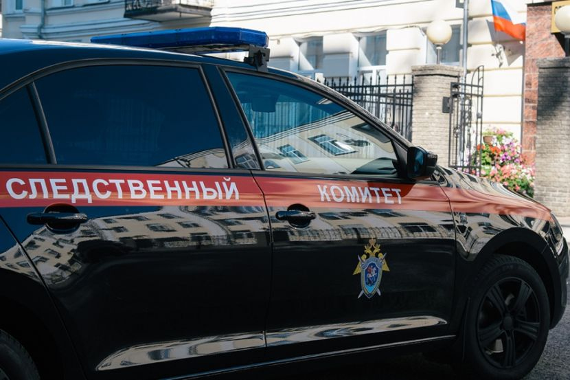 В Алтайском крае возбуждено уголовное дело о халатности после насилия над 11-летней девочкой