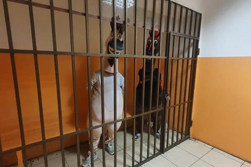 Коня с ослом, вымогавших деньги у прохожих, задержали в Сочи