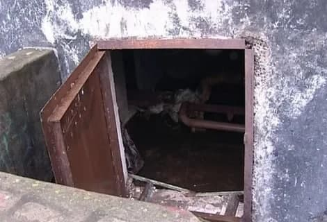 В Санкт-Петербурге в подвале нашли трех брошенных детей