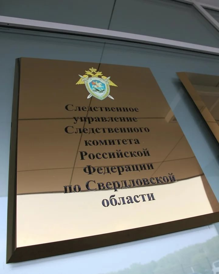 В Екатеринбурге пенсионерка получила 6 лет колонии за убийство сына