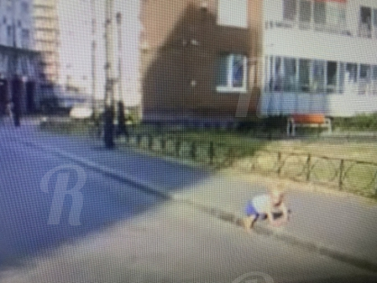 Годовалый малыш выполз под колеса машины в Ленобласти