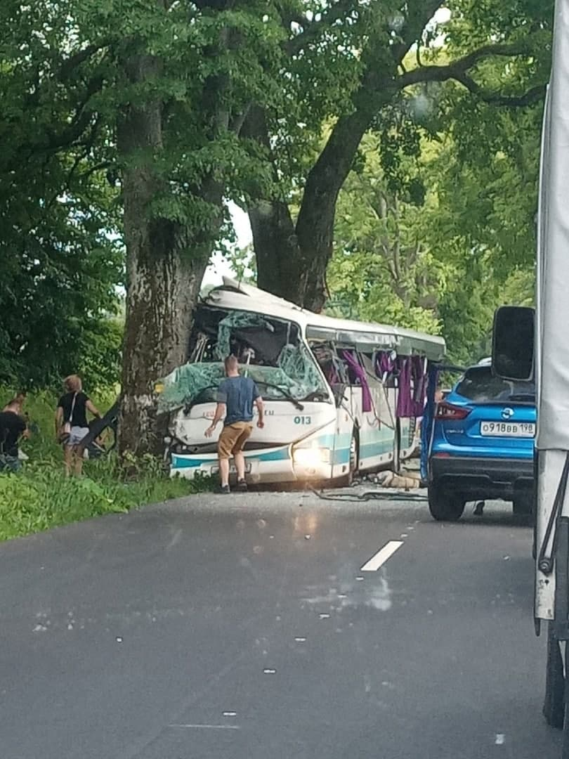 В Калининградской области автобус врезался в дерево
