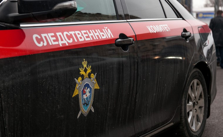 Труп расчлененной женщины нашли в Подмосковье
