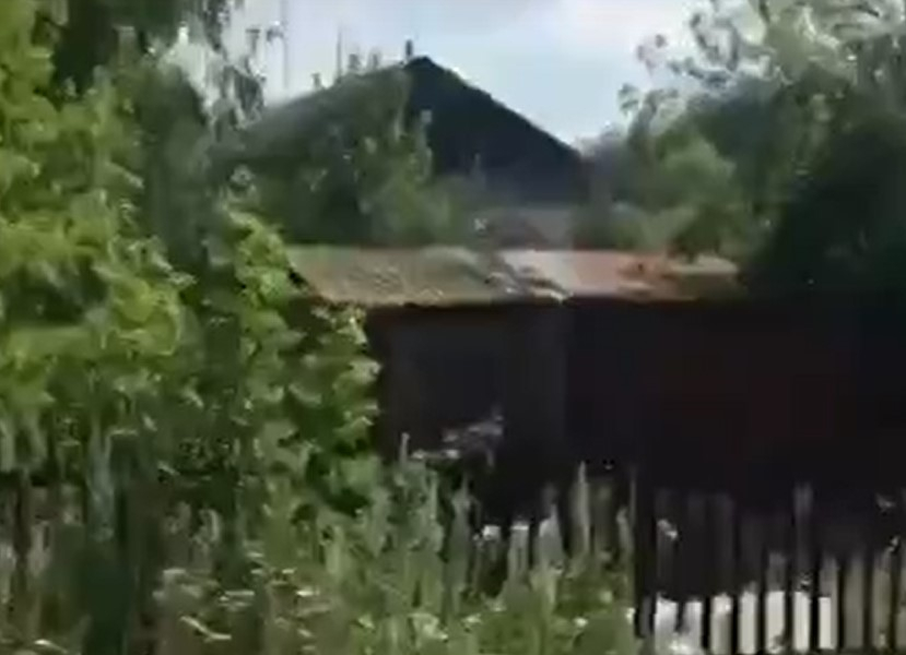 Видео дома, в котором удерживали алтайскую школьницу