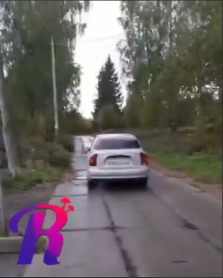 В Подмосковье у отца похитили двоих детей