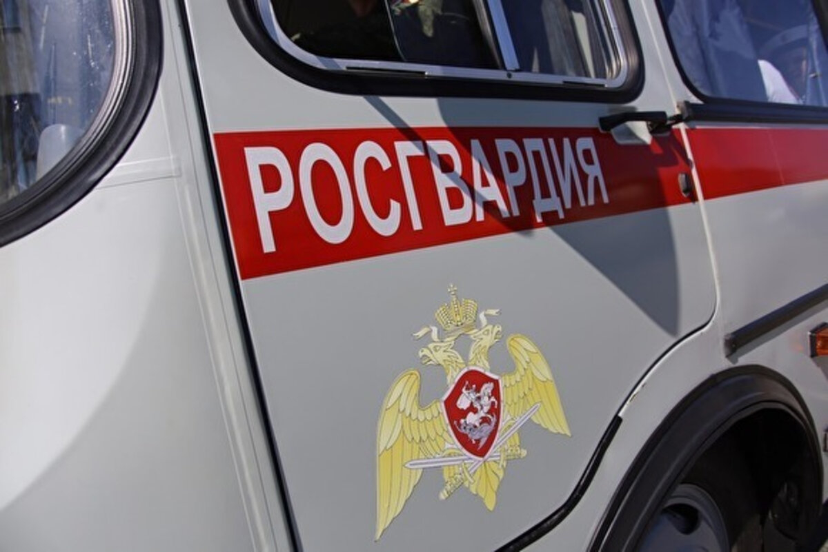 Правительство РФ засекретит данные о закупках Росгвардии и ФСО