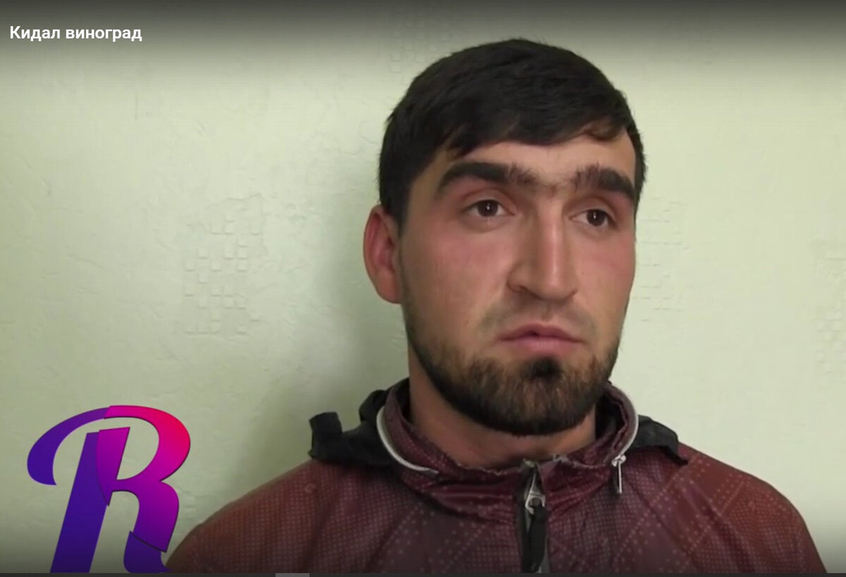 Мигранта, который кинул в пенсионера огрызок в Самаре, депортировали 