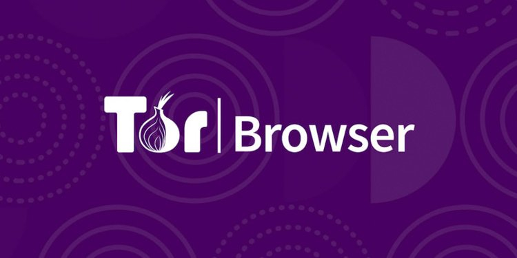 Сайт Tor, позволяющий анонимно искать информацию в сети, заблокировали на территории России 
