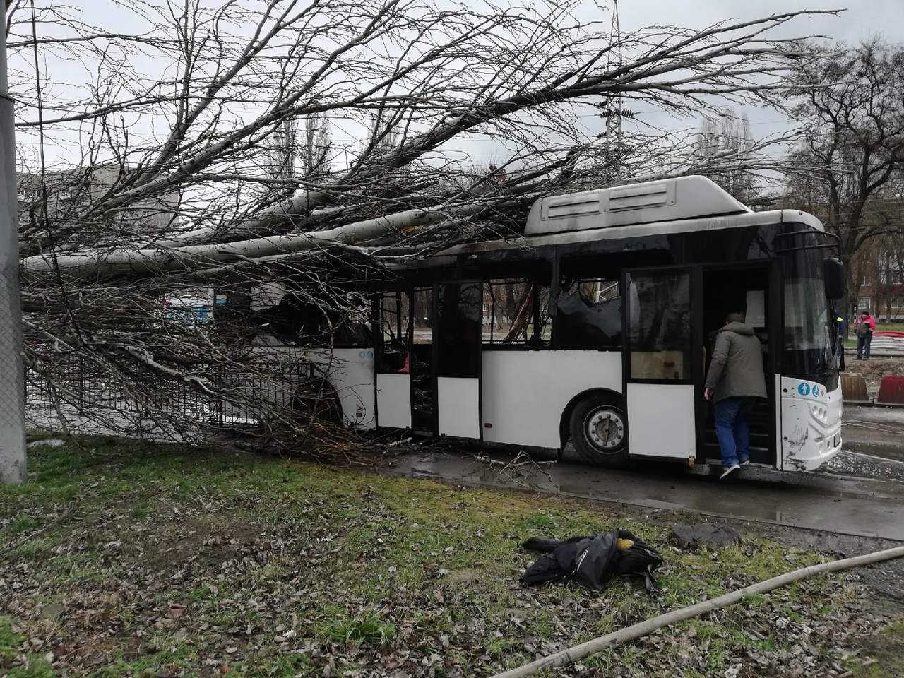 В Таганроге автобус с людьми загорелся после падения на него дерева