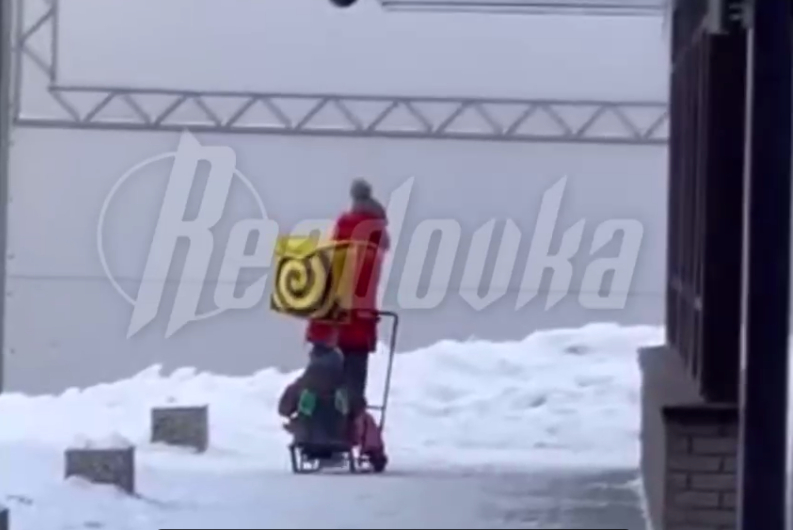 В Новосибирске многодетная мать разносит заказы еды, везя за собой санки с двумя малышами