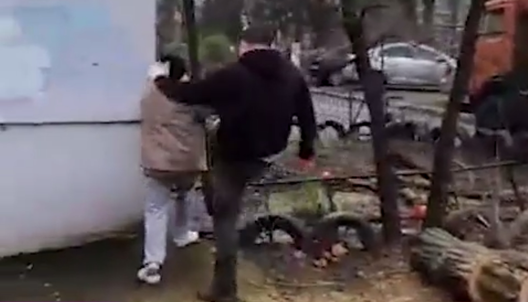 В Краснодаре рабочий избил старушку, пытавшуюся остановить вырубку дерева
