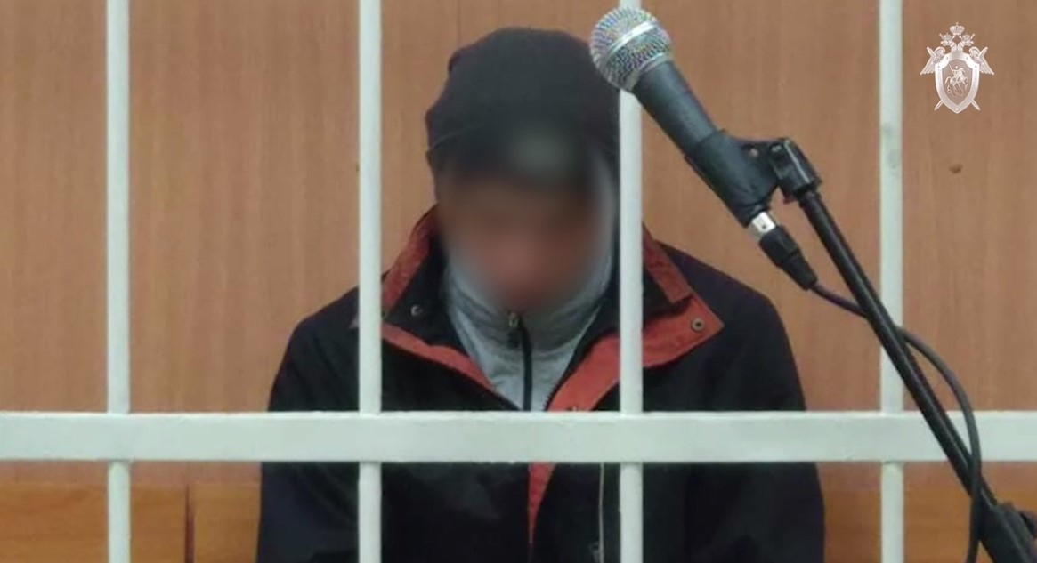 14-летняя школьница, попросившая 17-летнего юношу убить ее родителей, также арестована