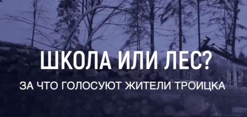 «Школа или лес»: жители Троицка в опросе Readovka по поводу вырубки краснокнижного леса для строительства «мегашколы»