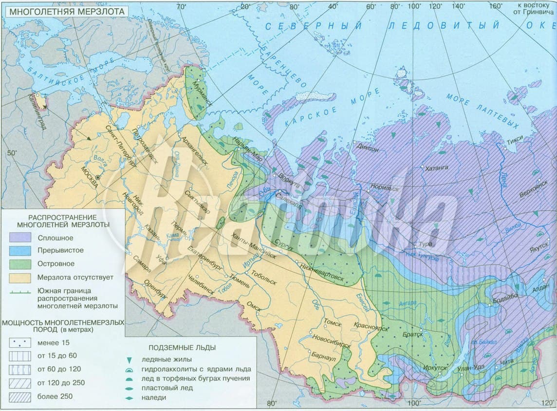 Россиян завлекают в тайгу и тундру «арктическим гектаром»