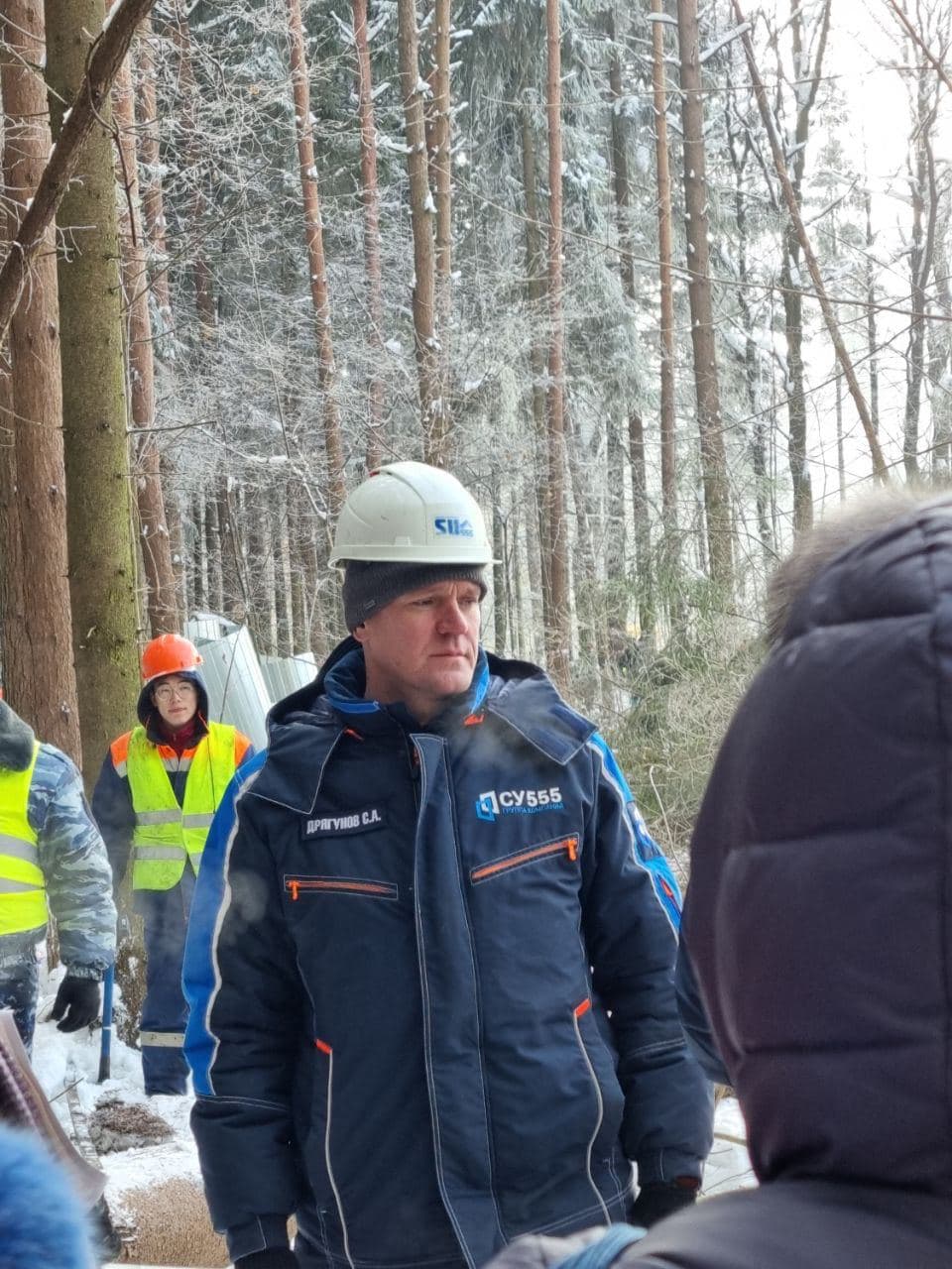 За вырубкой Троицкого леса могут стоять чиновники из окружения мэра Москвы Сергея Собянина
