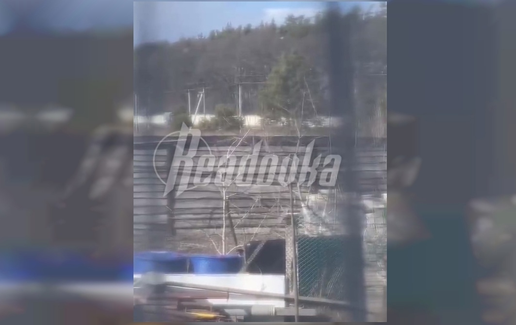 Колонна российских танков и грузовиков движется в направлении Киева