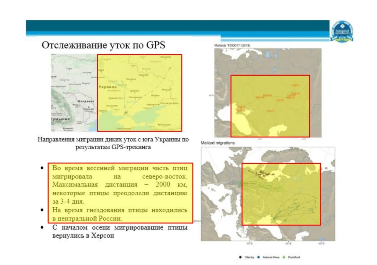 Минобороны РФ сообщает, что стали известны подробности проекта UP-4