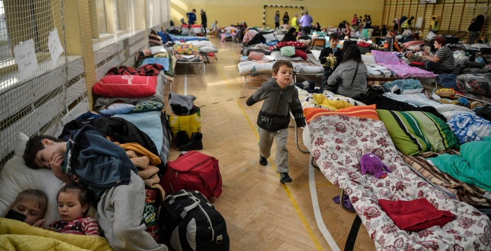 Временное убежище в России получили более 1,2 тысяч жителей Украины, ДНР и ЛНР