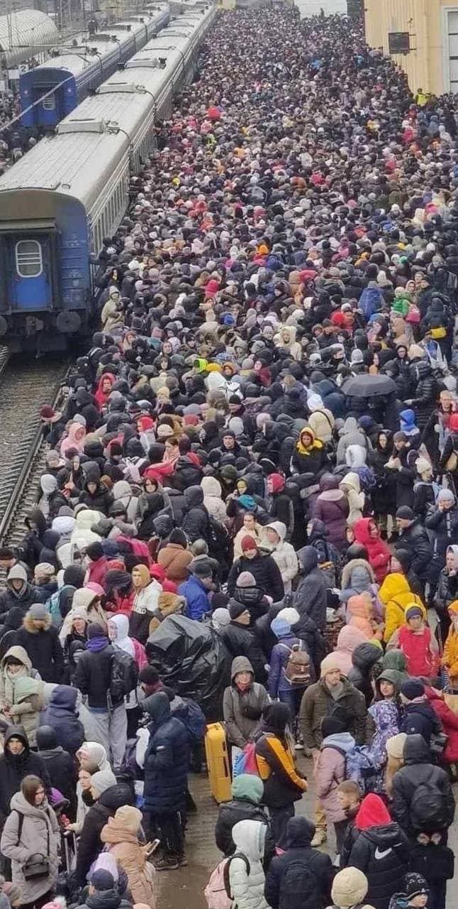 Более 16 тысяч беженцев Донбасса пересекли границу с Россией за прошедшие сутки