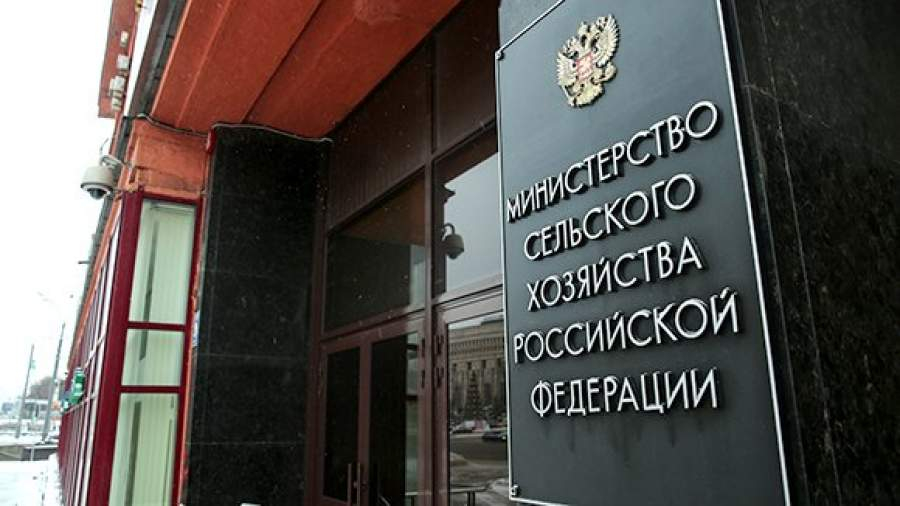 Минсельхоз рассказал, какие сферы пострадали от санкций в АПК