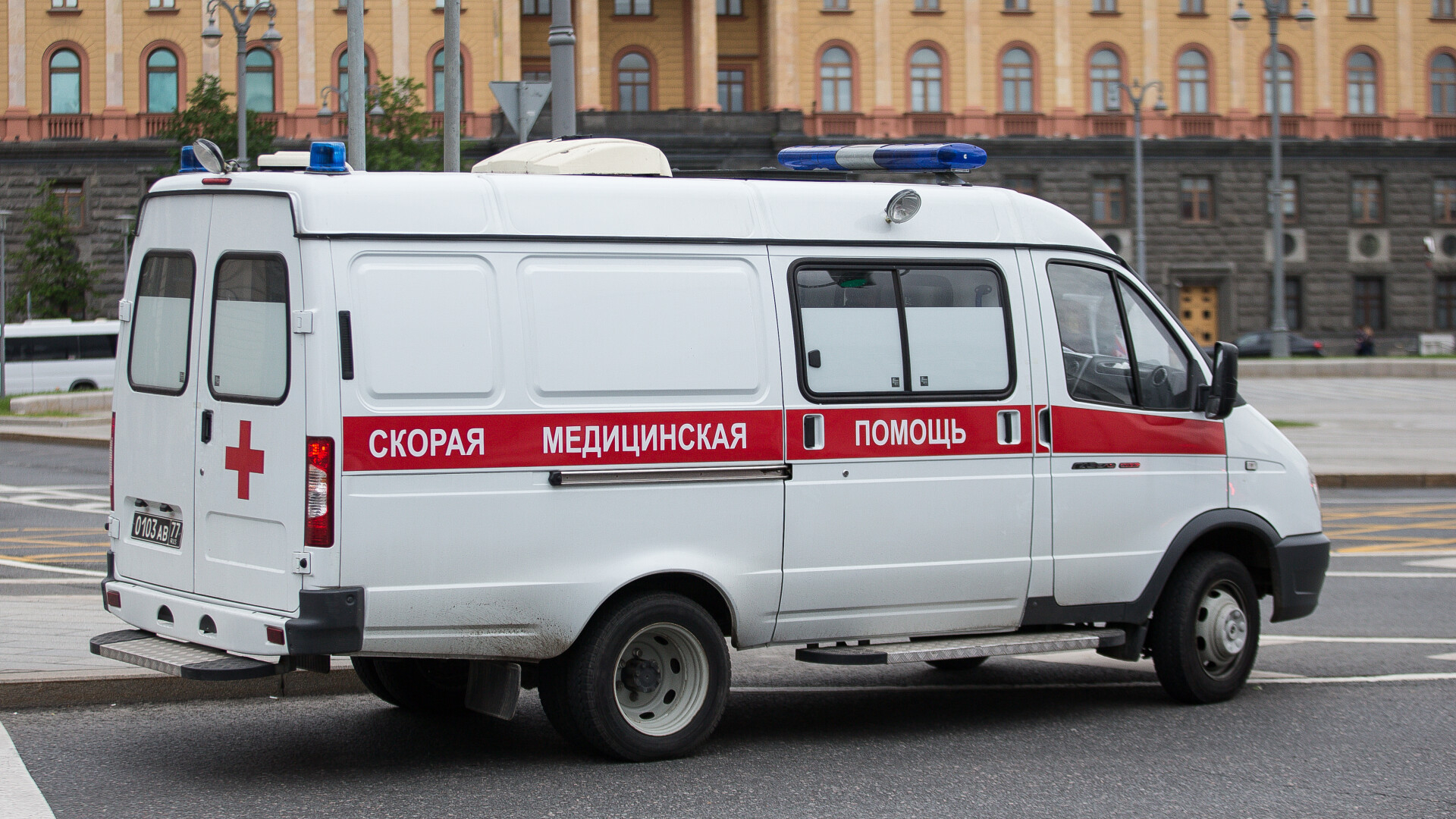 Пять человек пострадали в результате взрыва гранаты в парке во Владимирской области