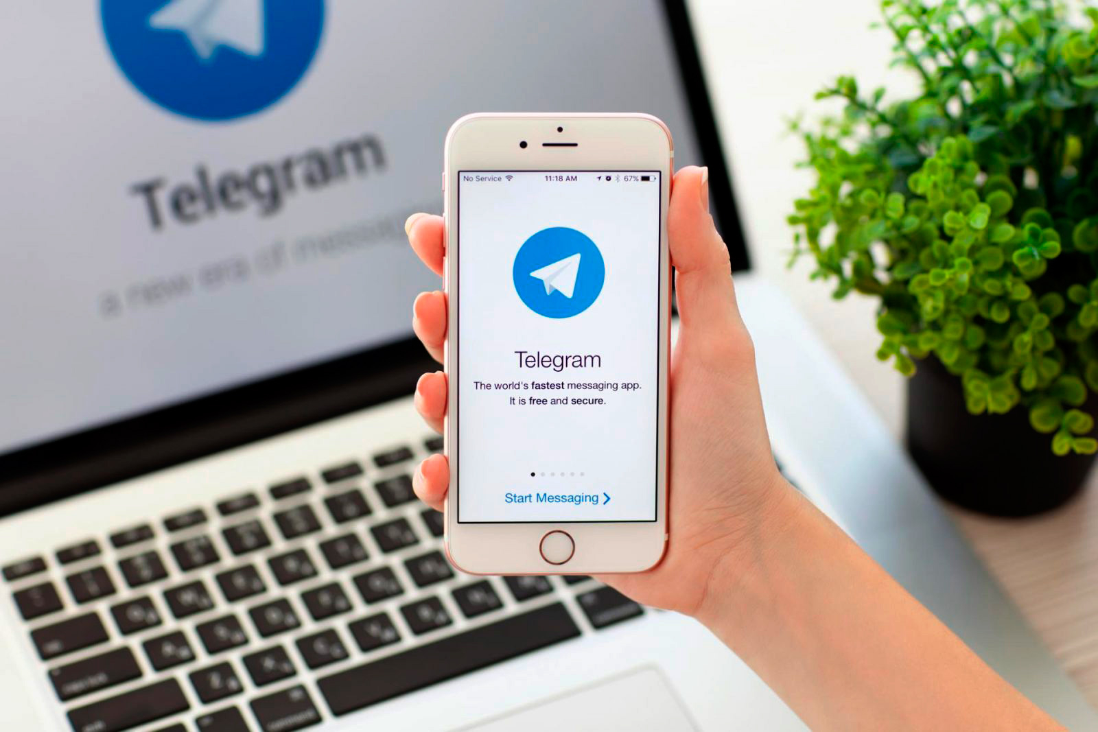 Николаевская тероборона хватает жителей за установленный Telegram и СМС, отправленные на российские номера