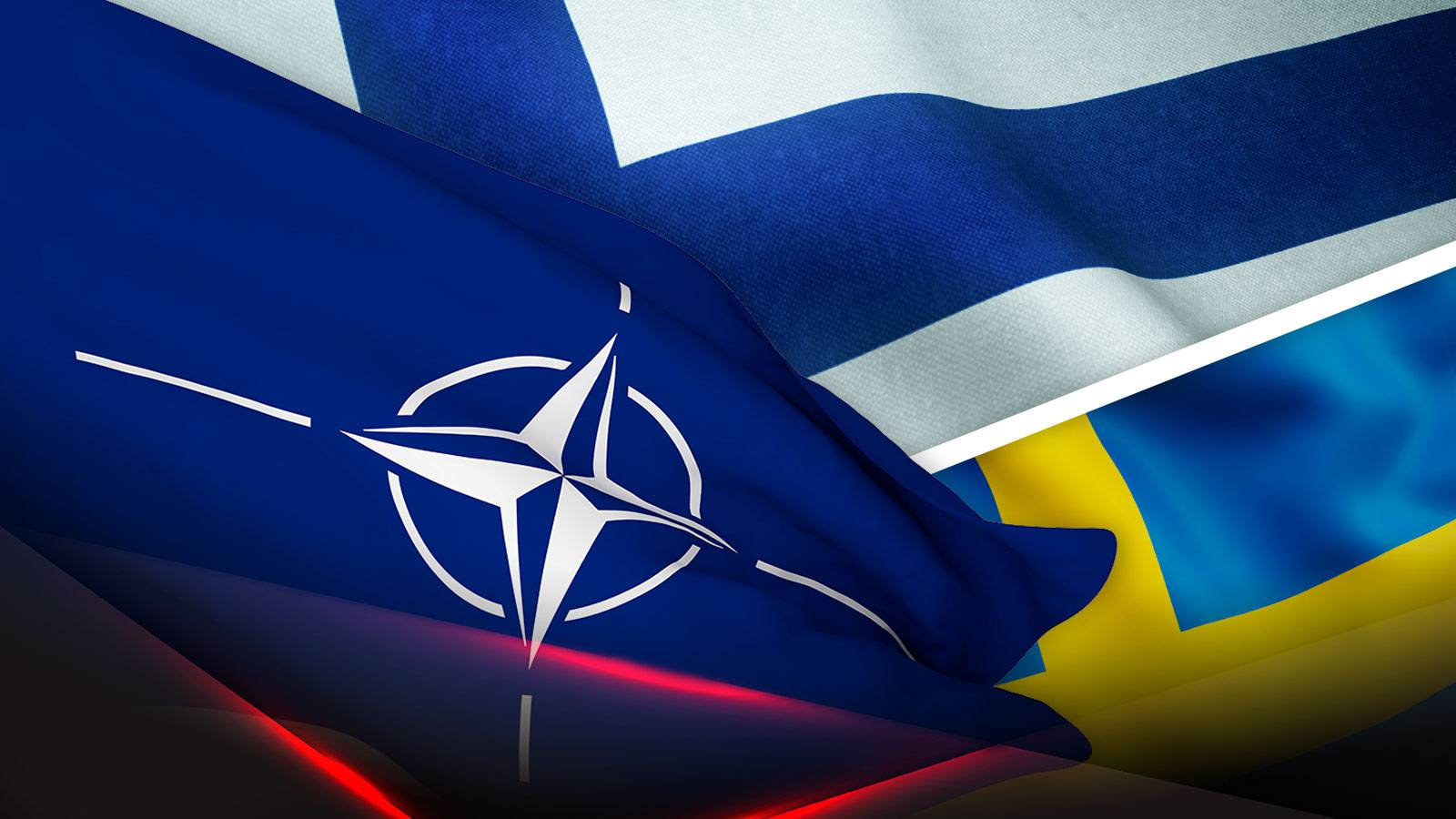 Спикер Совфеда РФ отреагировала на вступление Швеции и Финляндии в НАТО