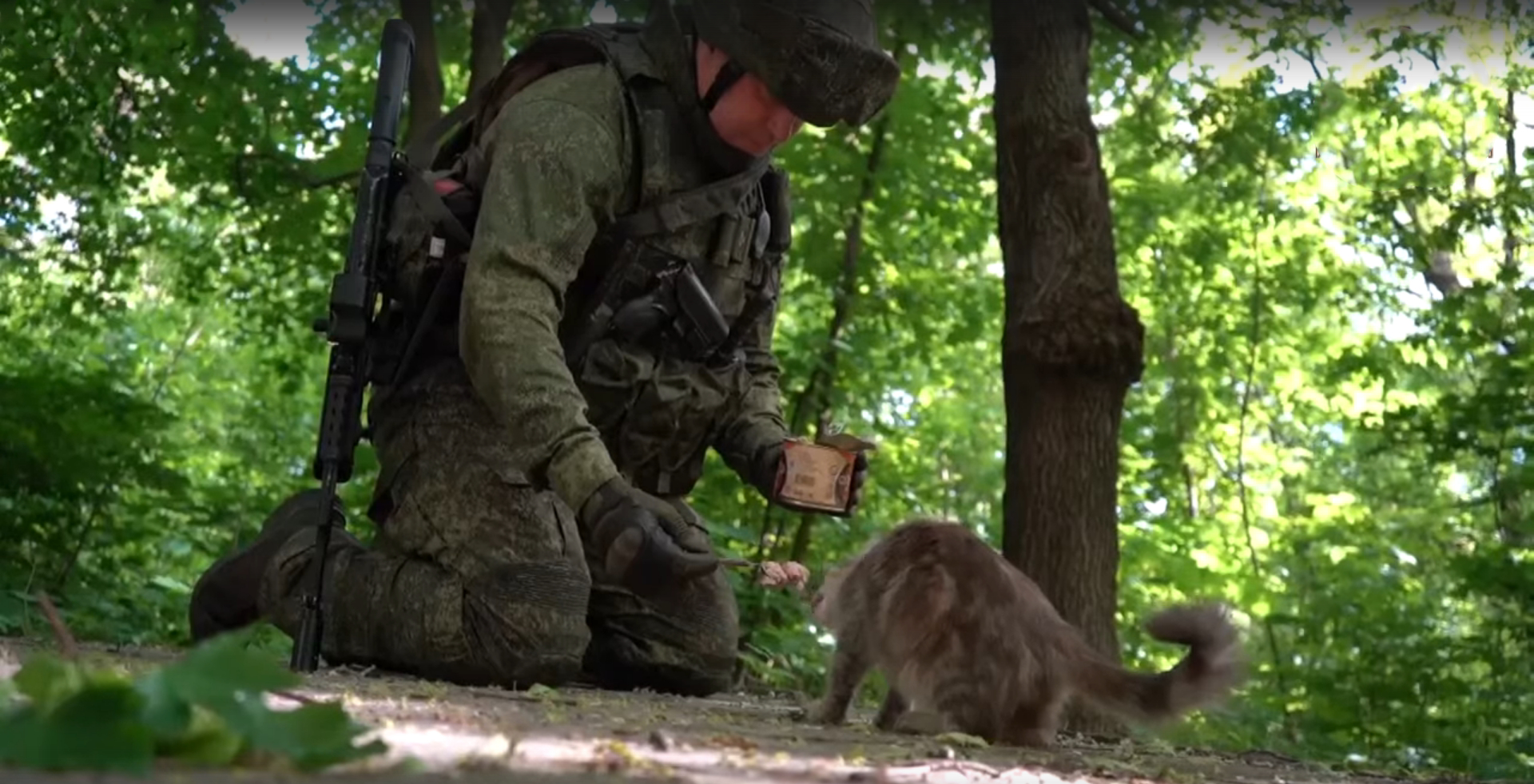 Военнослужащие НМ ДНР спасают домашних животных