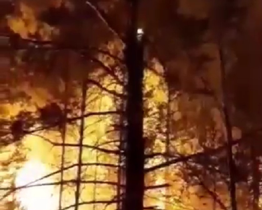 Более 200 человек тушат лесной пожар в Бурятии
