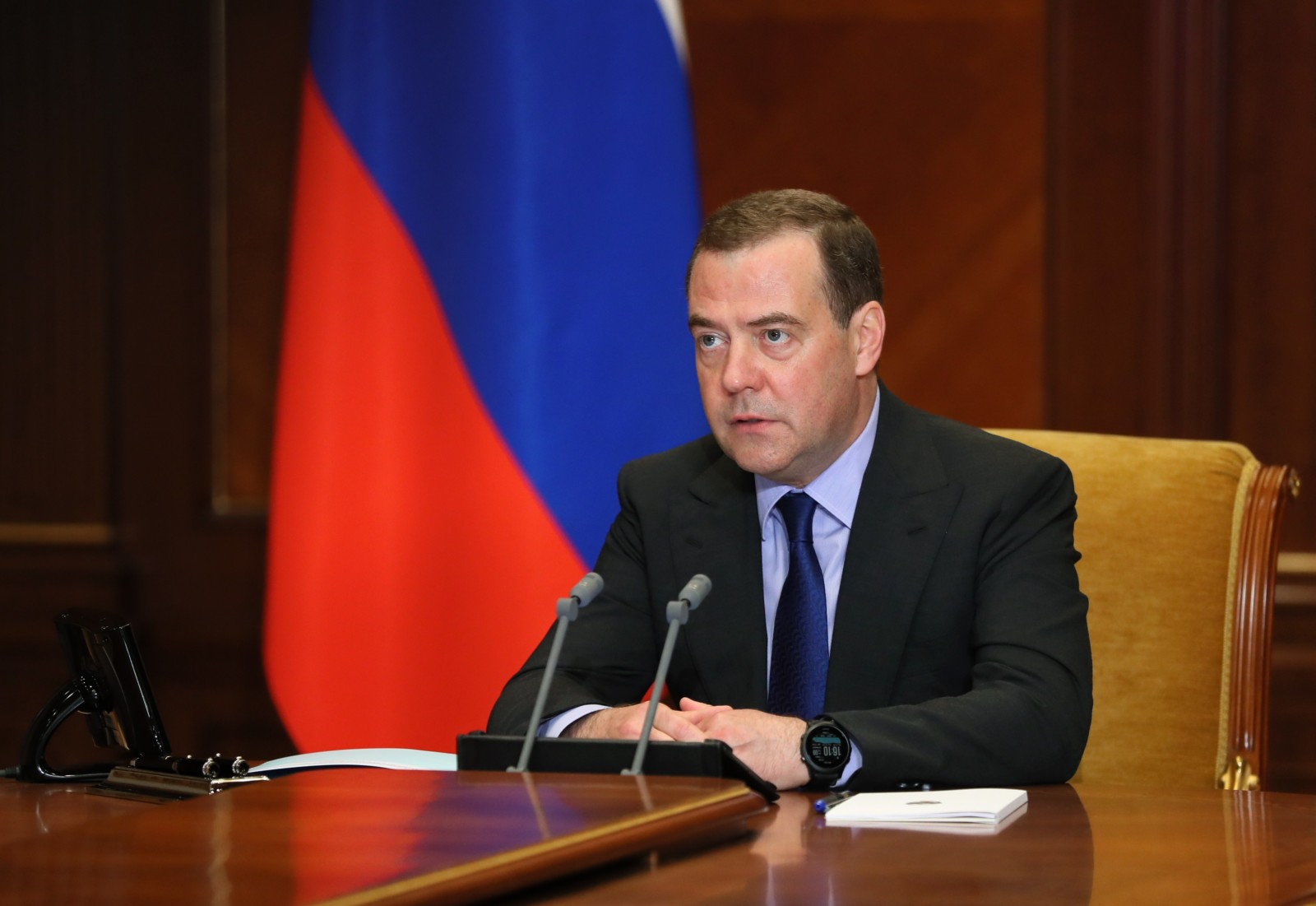 Медведев: при вводе ответных санкций России не стоит стесняться