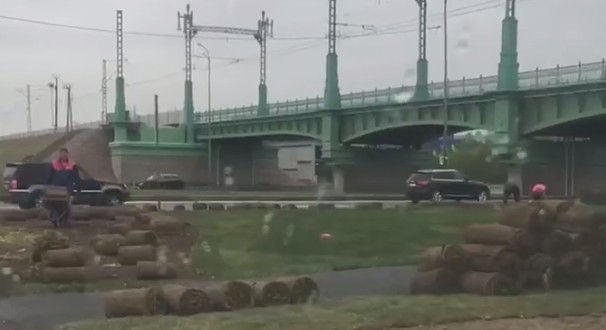 В Санкт-Петербурге после церемонии с чиновниками быстро убрали разложенный газон