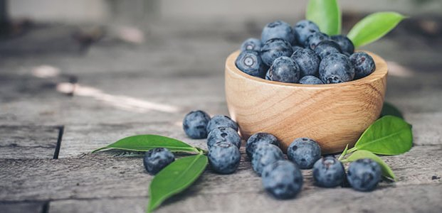 Чем черника полезна для организма человека