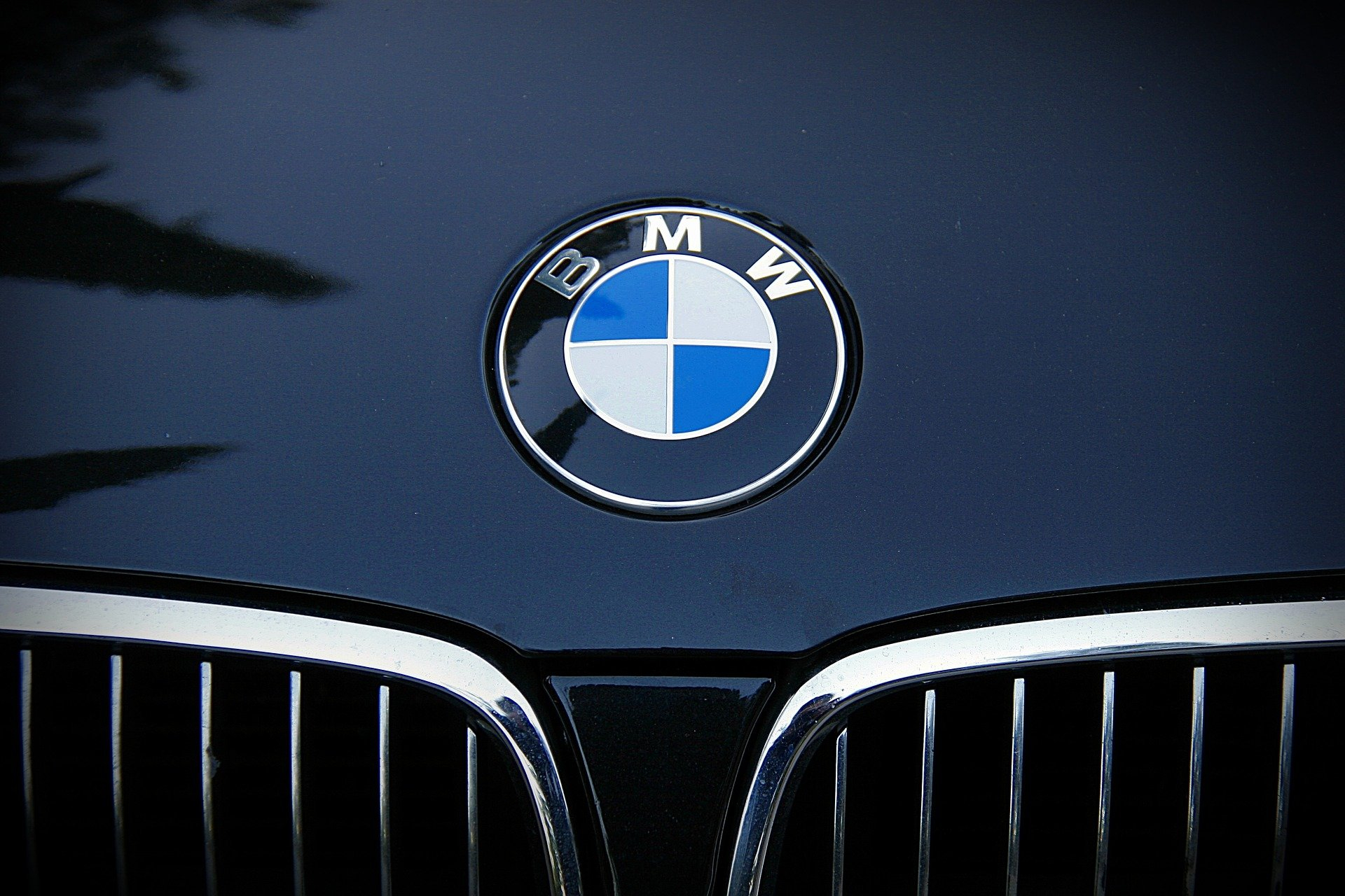 Работники завода BMW в Калининграде рассказали о выданных предприятием дачных участках