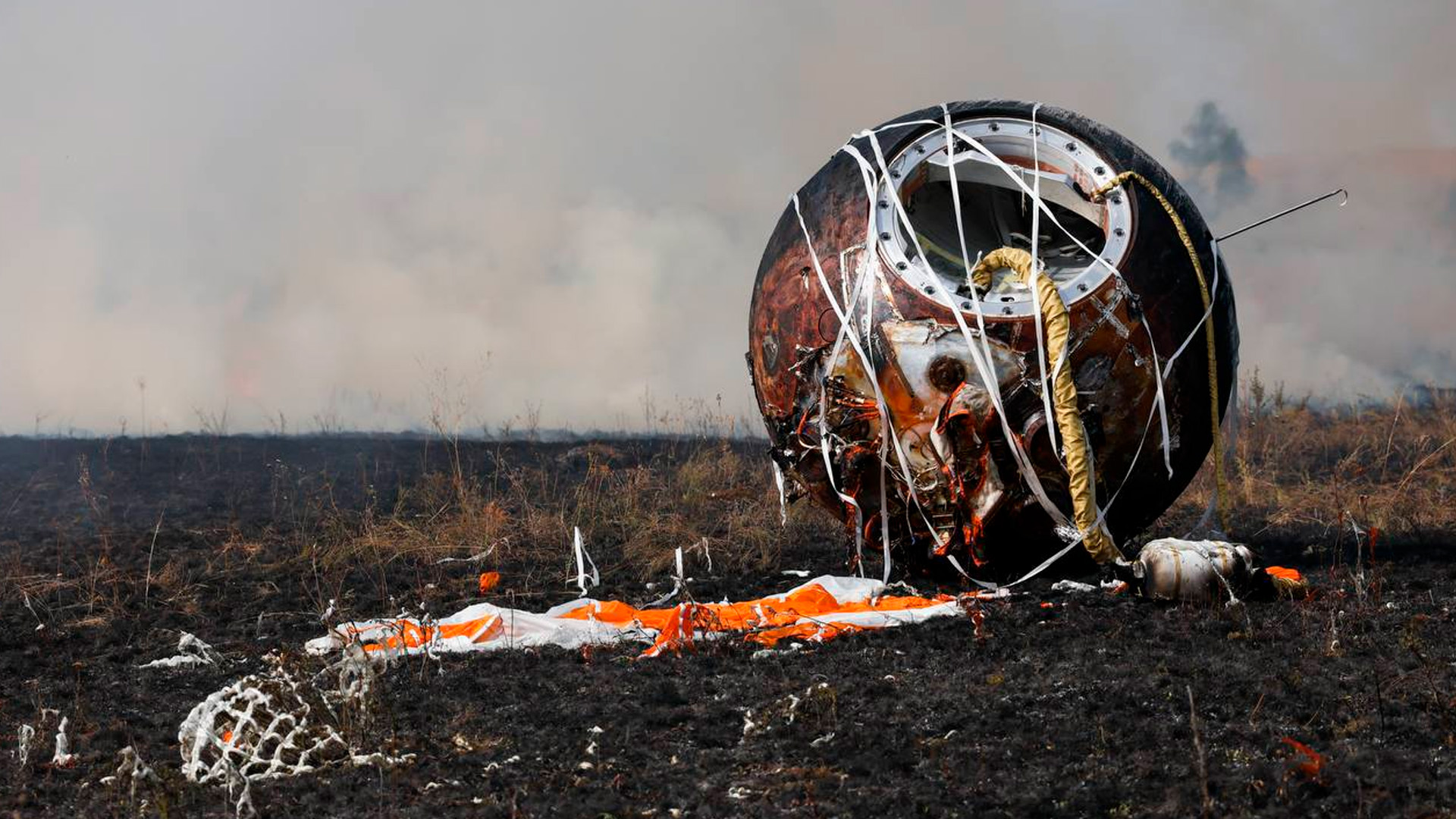 На Землю вернулся биоспутник с экипажем мышей и мух