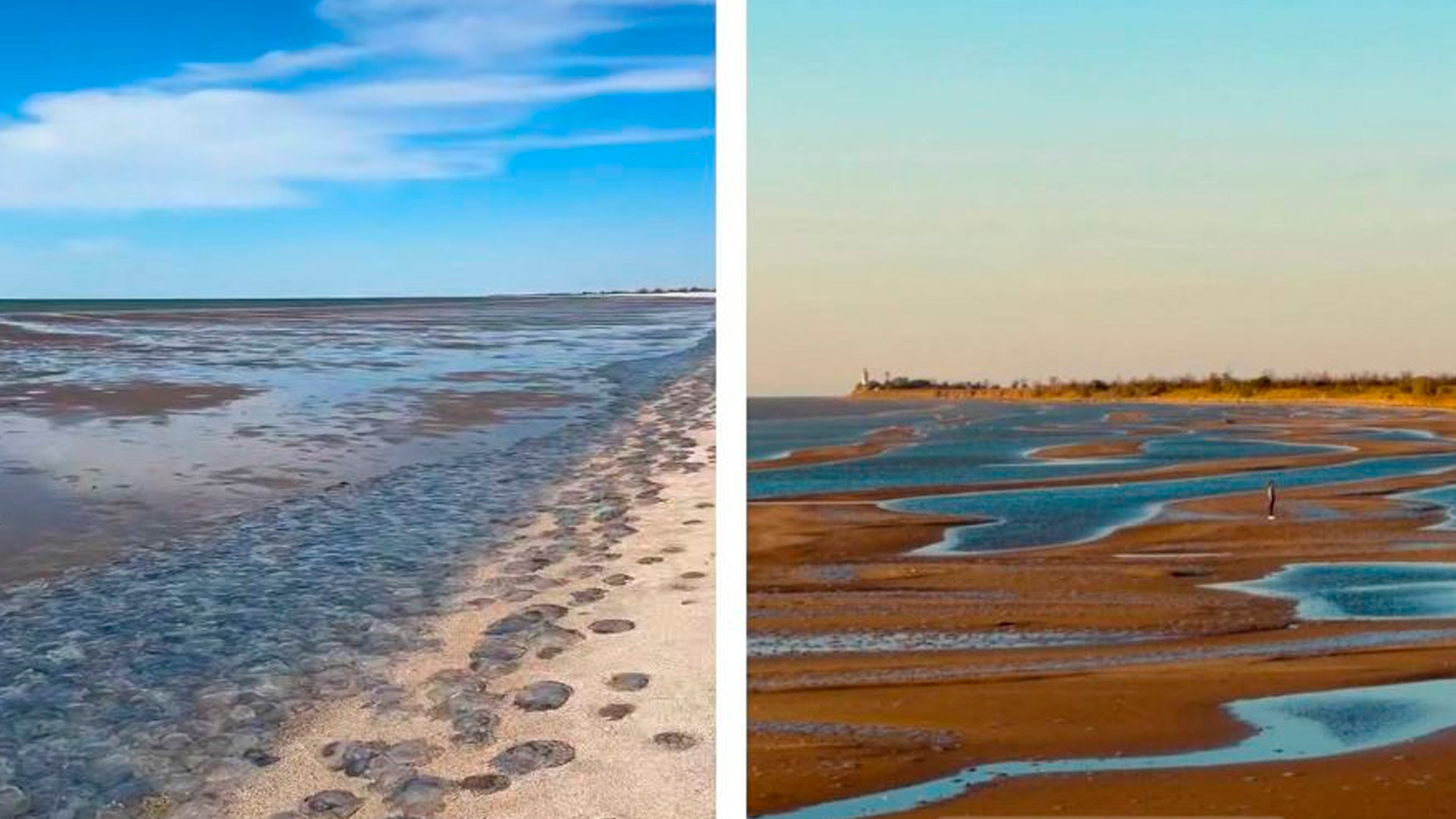 Из Приморско-Ахтарска ушло море