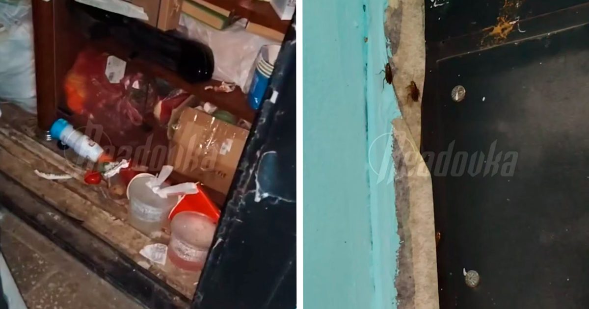 Беспорядок в квартире москвички вызвал нашествие тараканов во всем подъезде