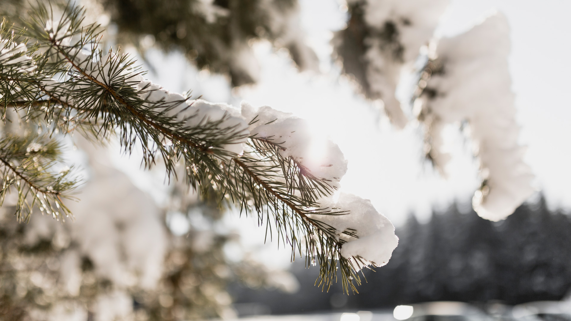 Жителям Центральной России рассказали, когда ждать снега
