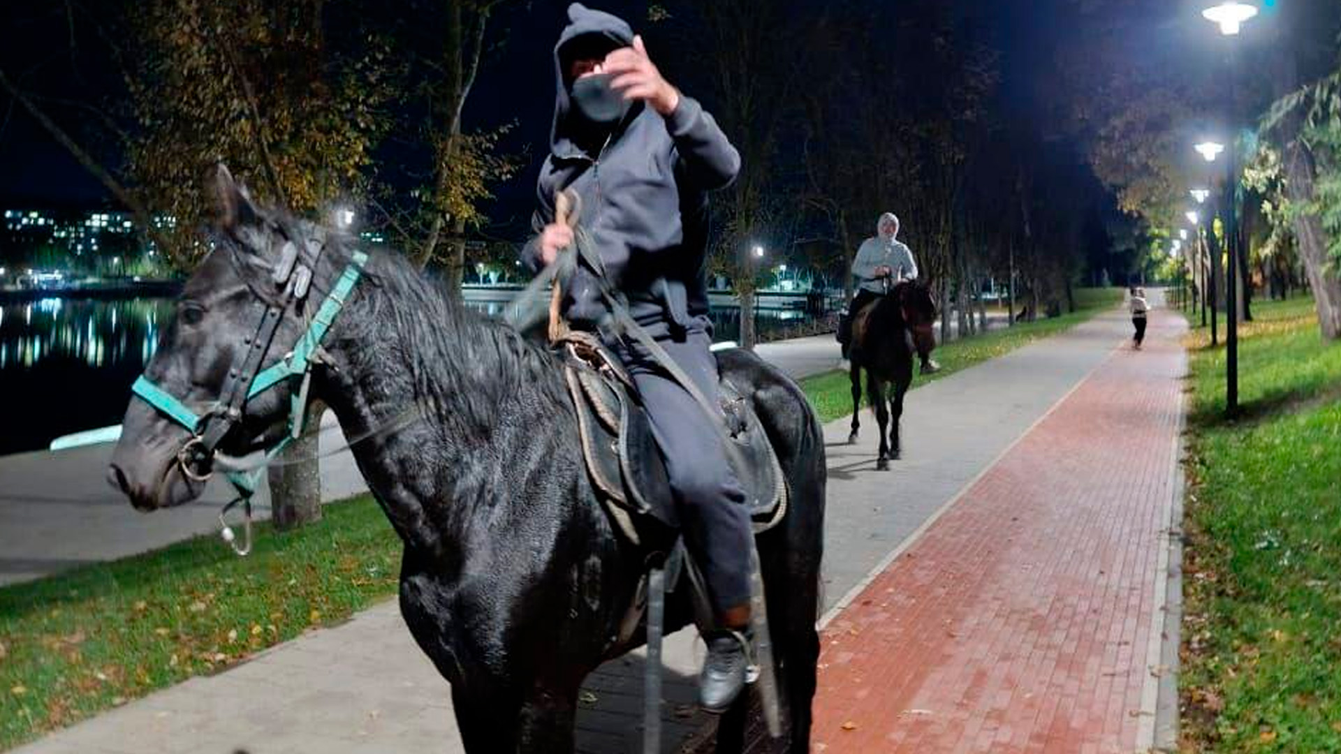Двое мужчин на лошадях избили пенсионеров в Кисловодске