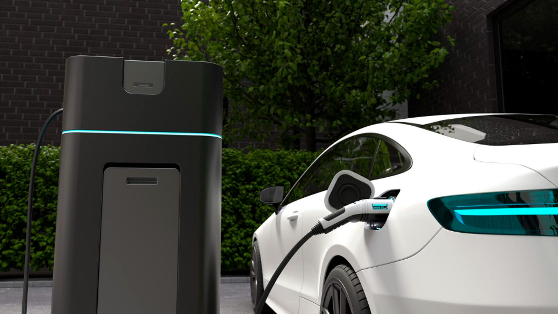 В Госдуме призвали запретить продажу и покупку электромобилей в России