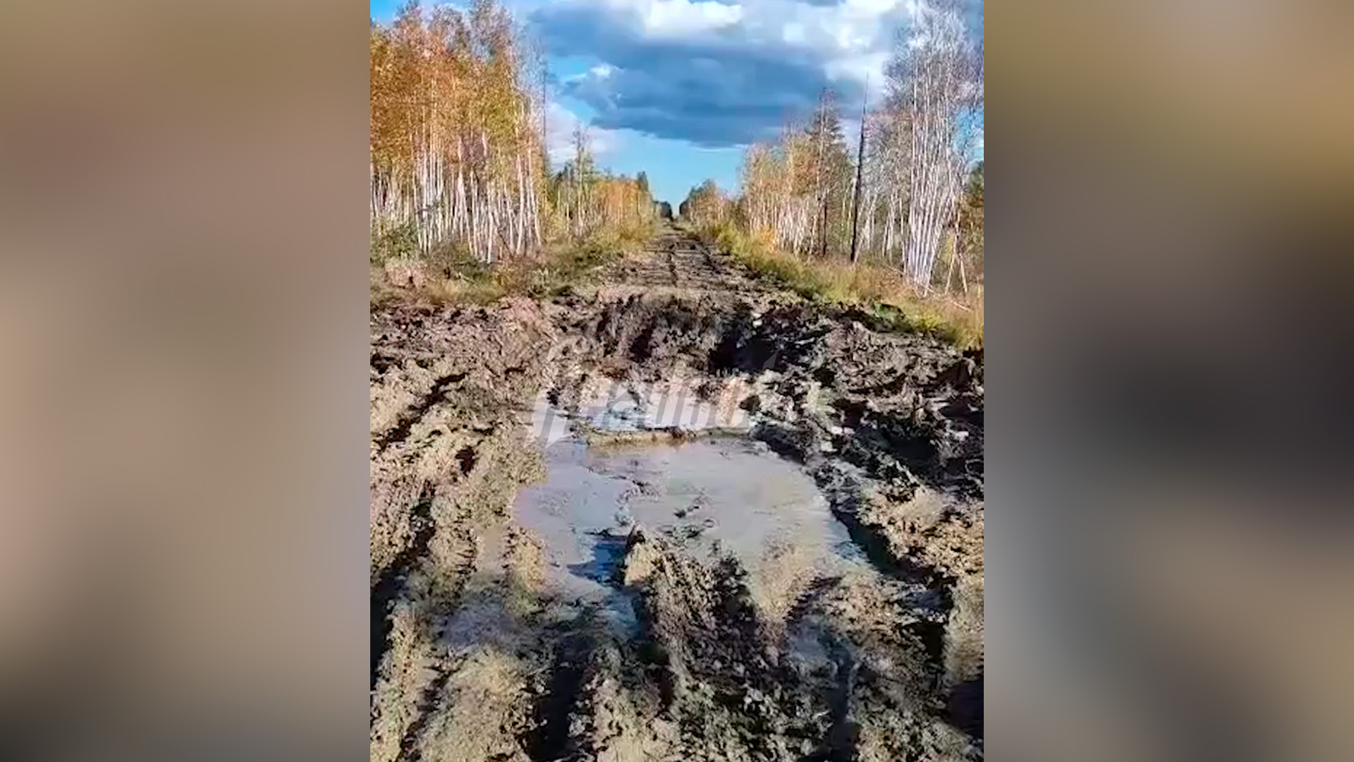 Грузовики амурских золотодобытчиков разбили единственный путь из села Октябрьский в город